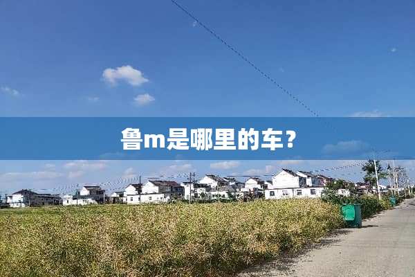 鲁m是哪里的车？
