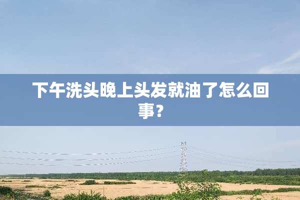 下午洗头晚上头发就油了怎么回事？