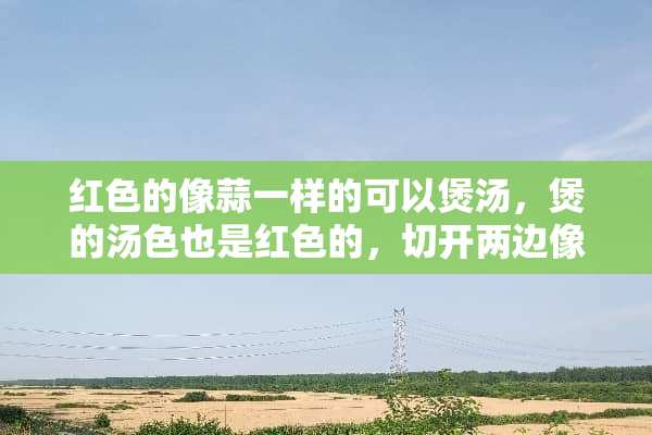 红色的像蒜一样的可以煲汤，煲的汤色也是红色的，切开两边像洋葱一样一层层的叫什么