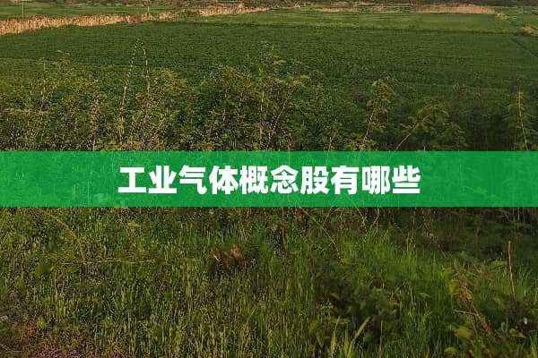 工业气体概念股有哪些