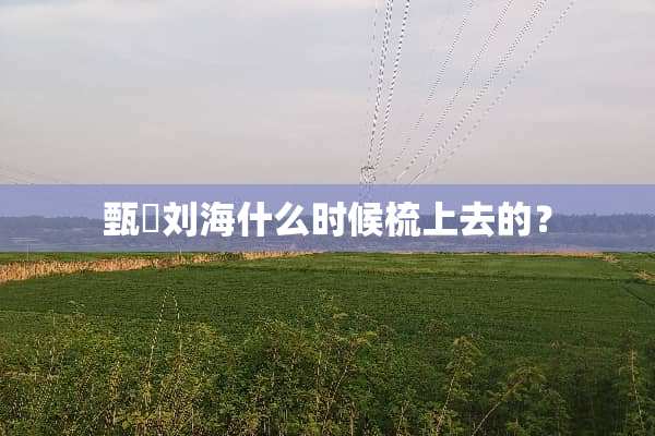甄嬛刘海什么时候梳上去的？