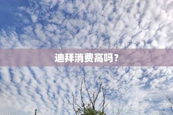 迪拜消费高吗？