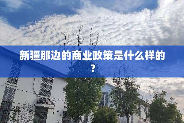 新疆那边的商业政策是什么样的？