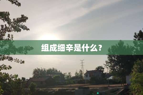 组成细辛是什么？