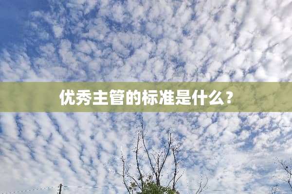 优秀主管的标准是什么？
