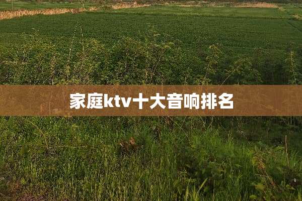 家庭ktv十大音响排名