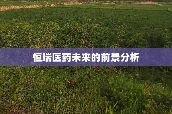 恒瑞医药未来的前景分析