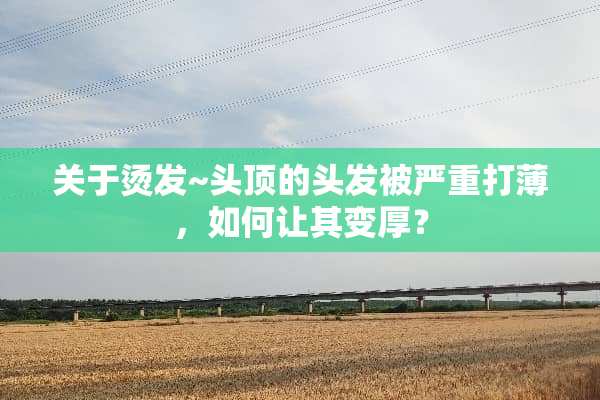 关于烫发~头顶的头发被严重打薄，如何让其变厚？