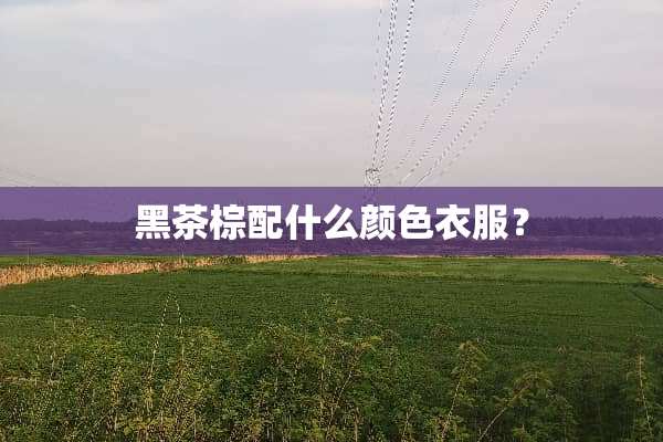 黑茶棕配什么颜色衣服？