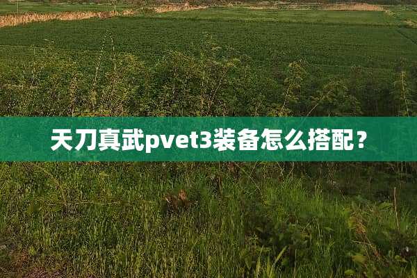 天刀真武pvet3装备怎么搭配？