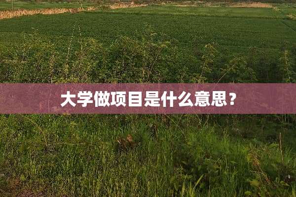 大学做项目是什么意思？