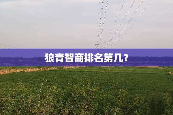 狼青智商排名第几？