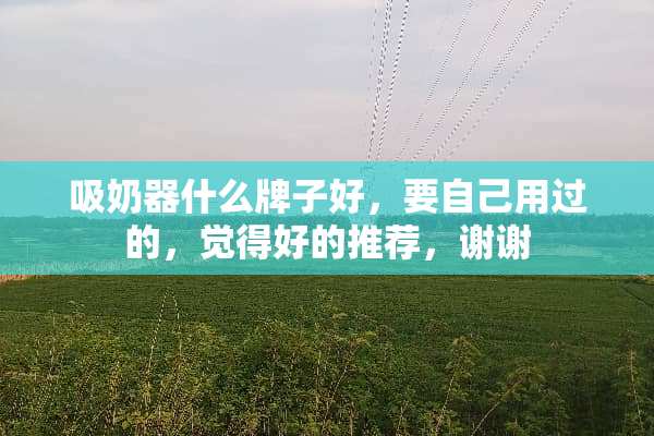 吸奶器什么牌子好，要自己用过的，觉得好的推荐，谢谢