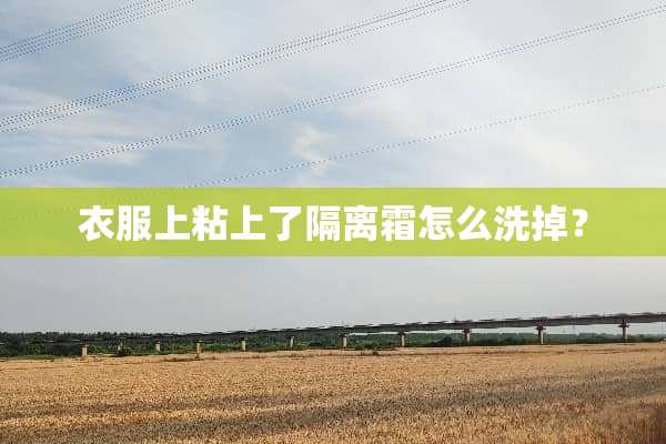 衣服上粘上了隔离霜怎么洗掉？