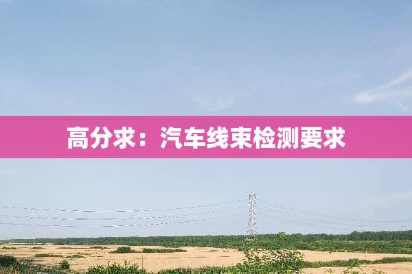 高分求：汽车线束检测要求