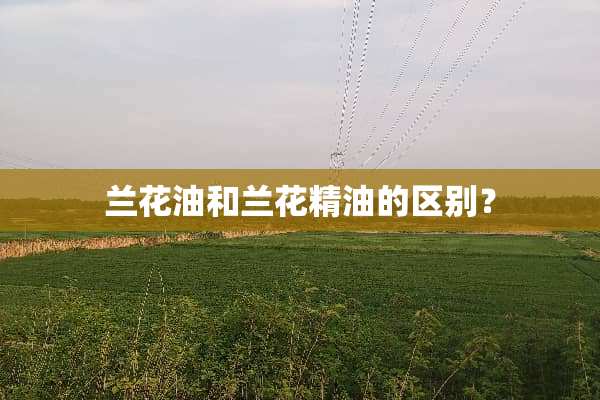 兰花油和兰花精油的区别？
