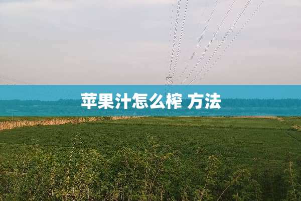 苹果汁怎么榨 方法