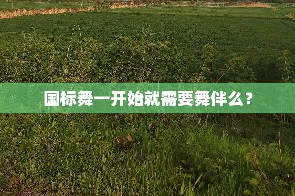 国标舞一开始就需要舞伴么？
