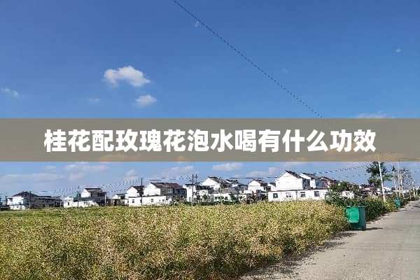 桂花配玫瑰花泡水喝有什么功效