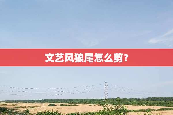 文艺风狼尾怎么剪？
