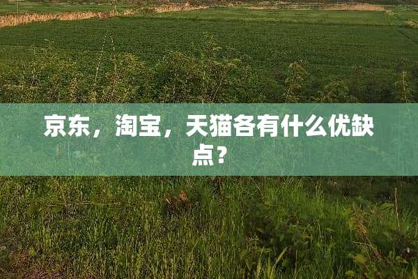 京东，淘宝，天猫各有什么优缺点？