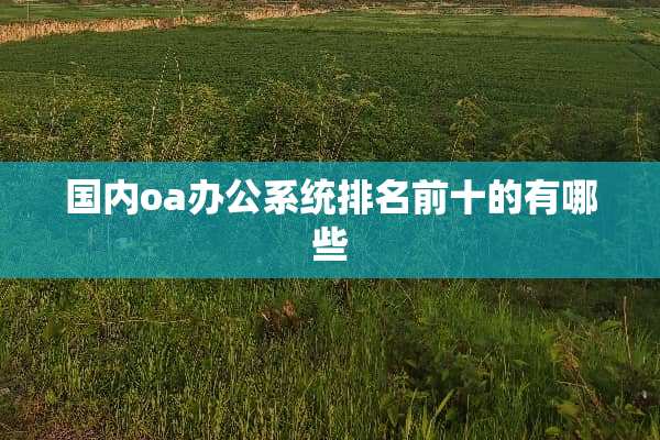 国内oa办公系统排名前十的有哪些