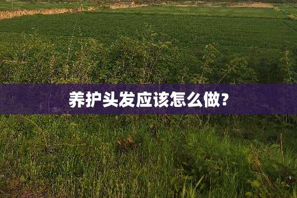养护头发应该怎么做？