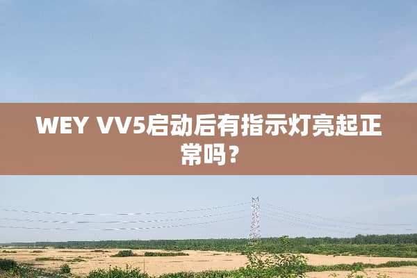 WEY VV5启动后有指示灯亮起正常吗？