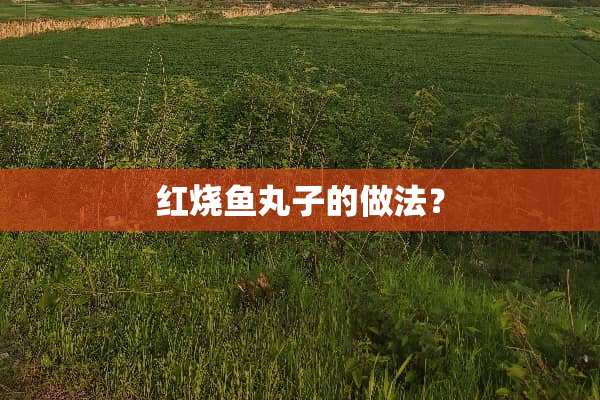 红烧鱼丸子的做法？