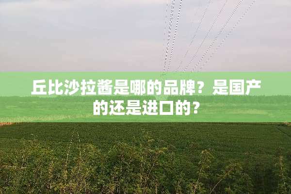 丘比沙拉酱是哪的品牌？是国产的还是进口的？