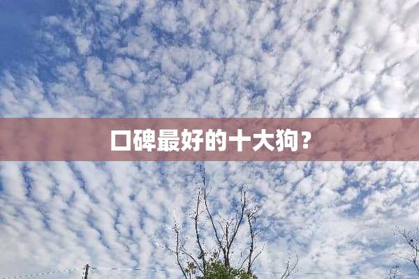 口碑最好的十大狗？