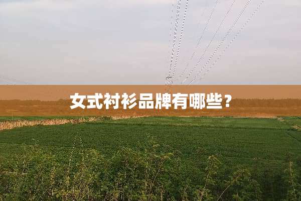 女式衬衫品牌有哪些？
