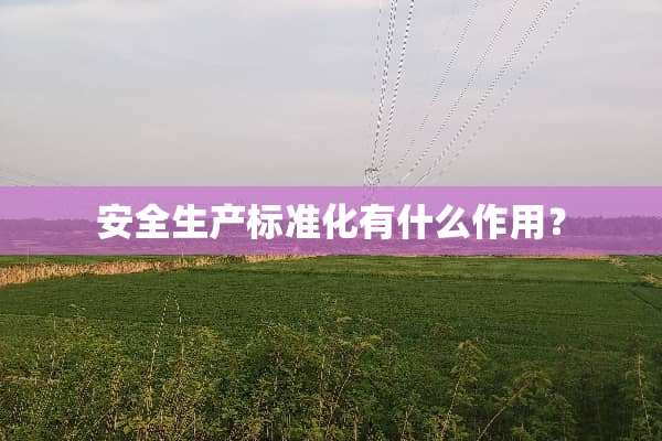 安全生产标准化有什么作用？
