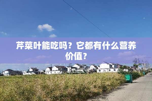 芹菜叶能吃吗？它都有什么营养价值？