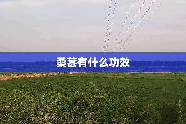 桑葚有什么功效