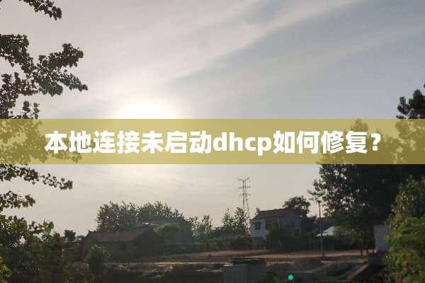 本地连接未启动dhcp如何修复？