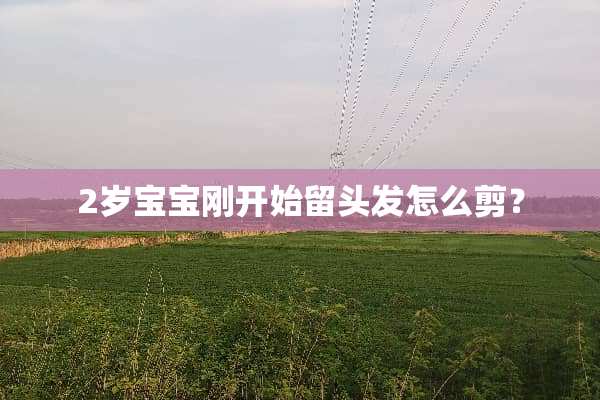 2岁宝宝刚开始留头发怎么剪？