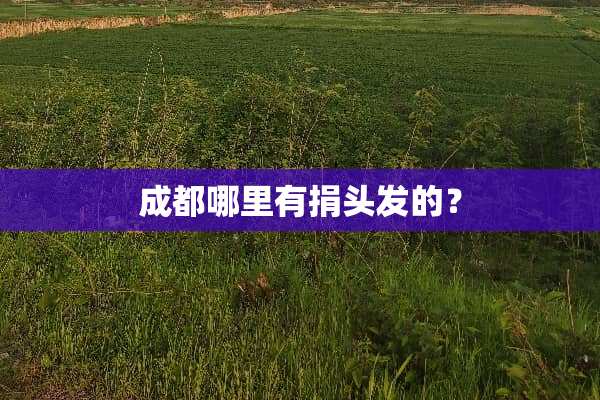 成都哪里有捐头发的？
