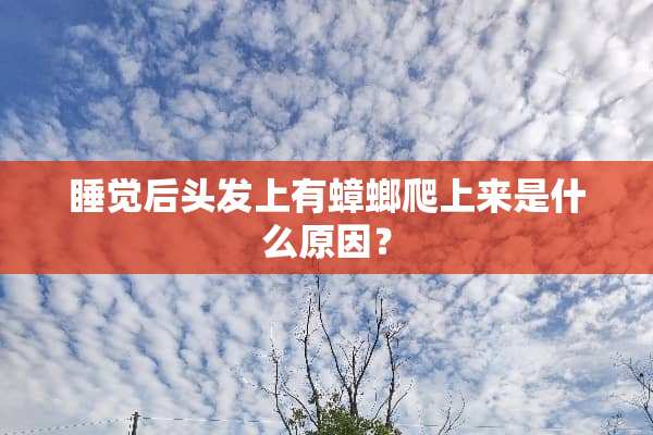 睡觉后头发上有蟑螂爬上来是什么原因？