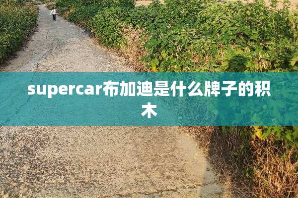 supercar布加迪是什么牌子的积木