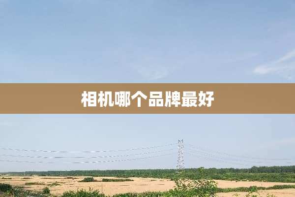 相机哪个品牌最好