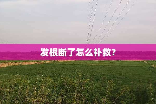 发根断了怎么补救？