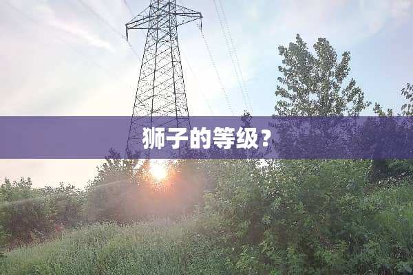 狮子的等级？