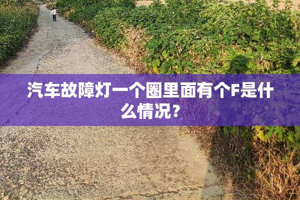 汽车故障灯一个圈里面有个F是什么情况？