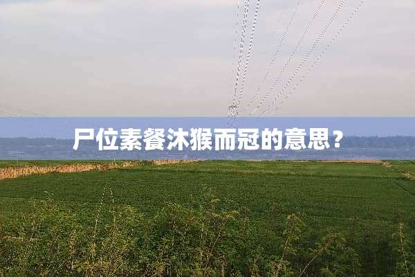 尸位素餐沐猴而冠的意思？