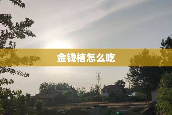 金钱桔怎么吃