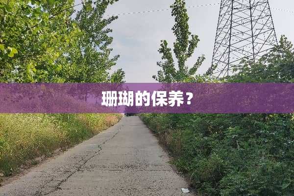 珊瑚的保养？