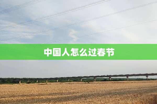 中国人怎么过春节