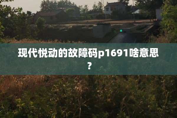 现代悦动的故障码p1691啥意思？