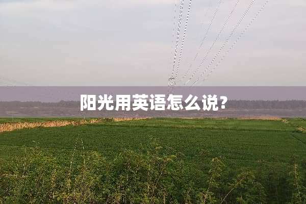 阳光用英语怎么说？